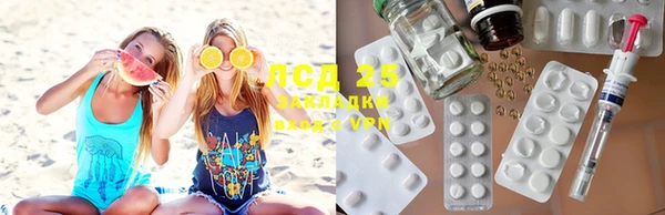 дмт Богданович