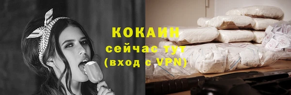 дмт Богданович