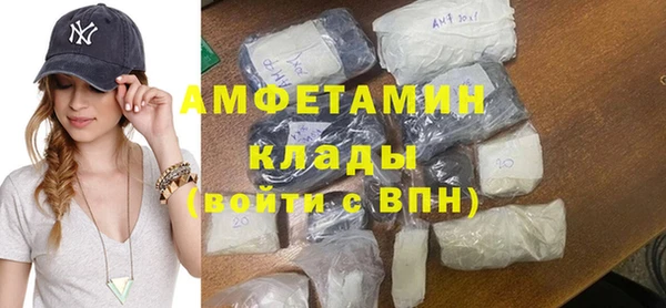 дмт Богданович