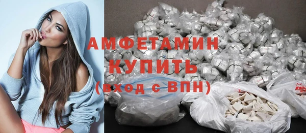 дмт Богданович