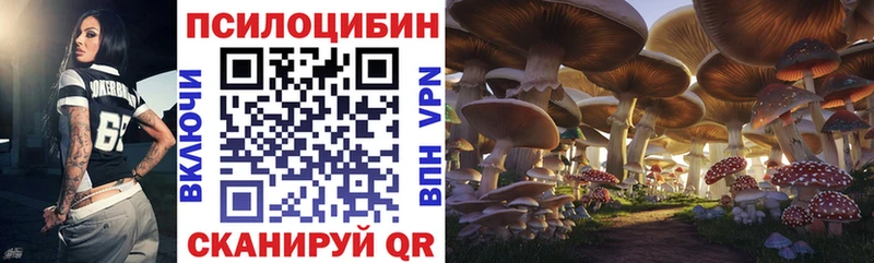 Псилоцибиновые грибы мицелий  нарко площадка как зайти  Кувшиново  где можно купить  